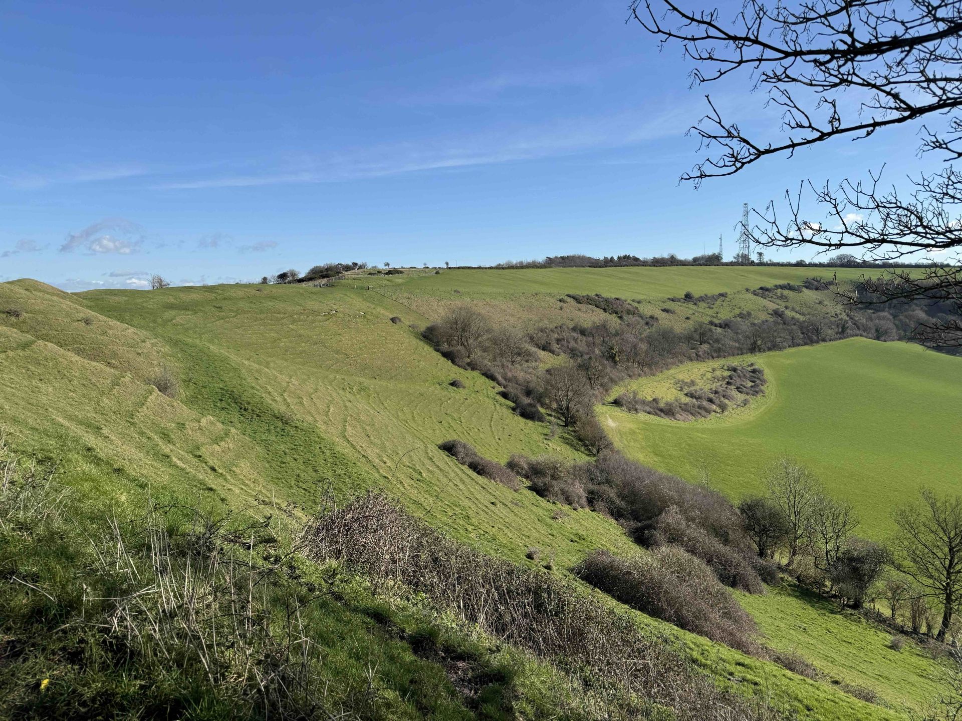 Looking towards Bulbarrow Hill